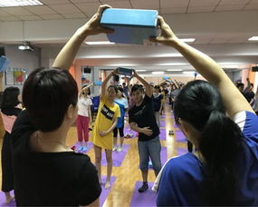 鞏固健康促進醫院工作成果，我們一直在行動——教育咨詢服務的角色與價值